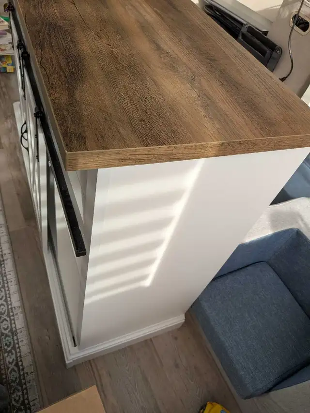 Tv Console with barn doors - Photo 4