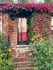 Rooms For Rent - Photo 2