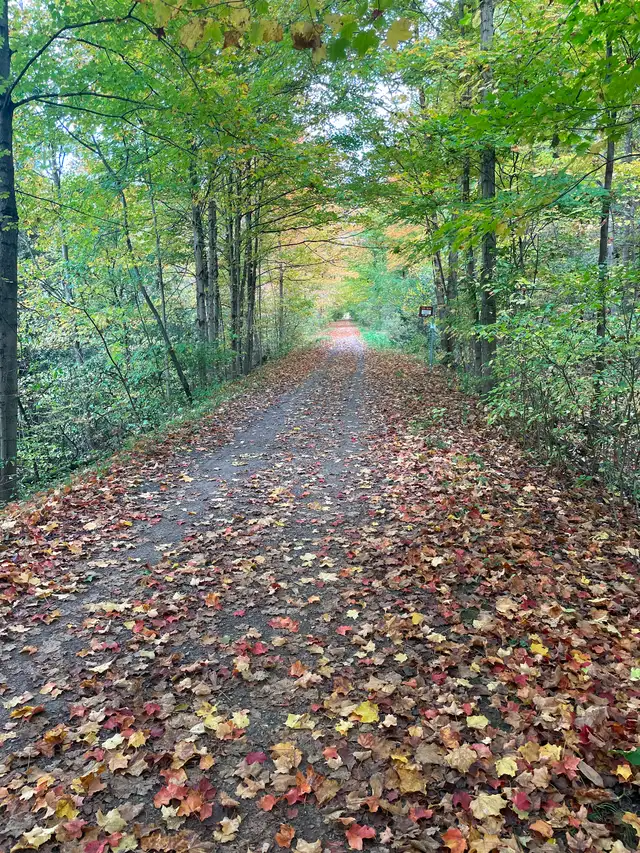 Rooms For Rent - Photo 11