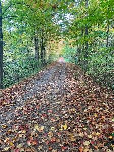 Rooms For Rent - Photo 11