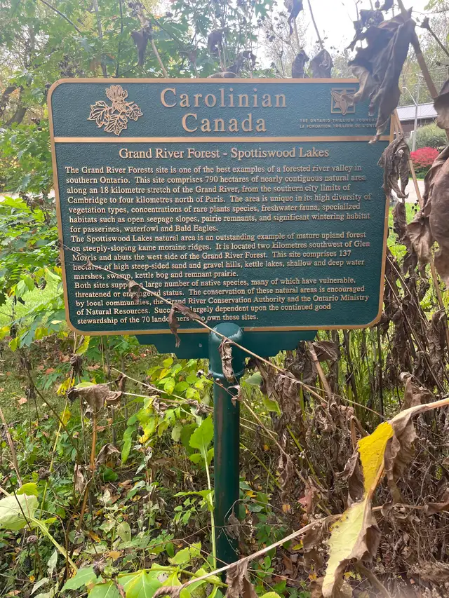 Rooms For Rent - Photo 12