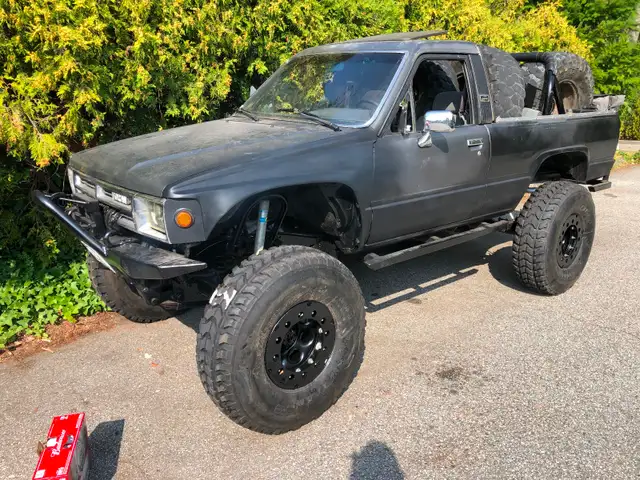 Rental wanted in Cranbrook or Nelson or somewhere a little busy