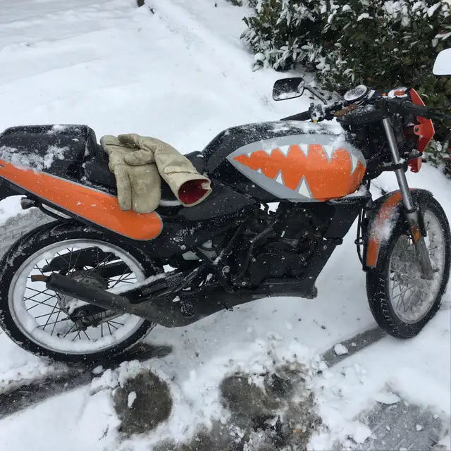 Rental wanted in Cranbrook or Nelson or somewhere a little busy - Photo 8