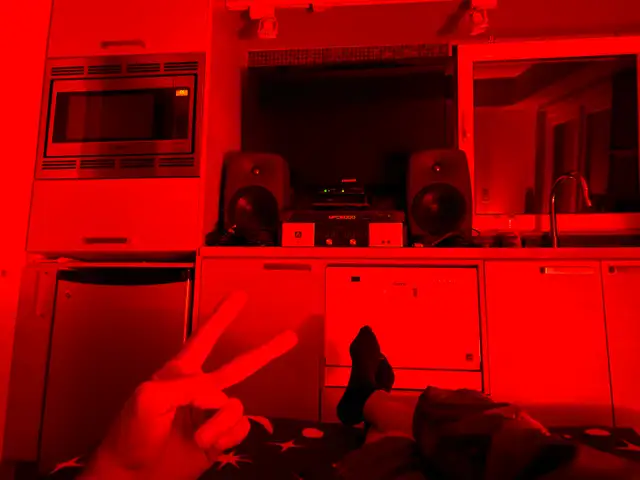 Rental wanted in Cranbrook or Nelson or somewhere a little busy - Photo 10