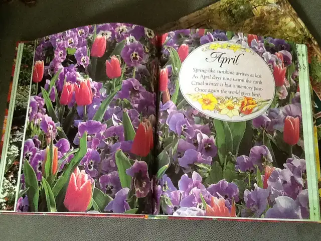 THE GARDENING YEARBOOK and one pair of gardening gloves - Photo 5