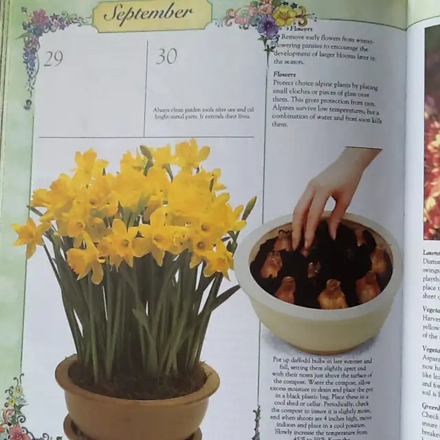 THE GARDENING YEARBOOK and one pair of gardening gloves - Photo 7