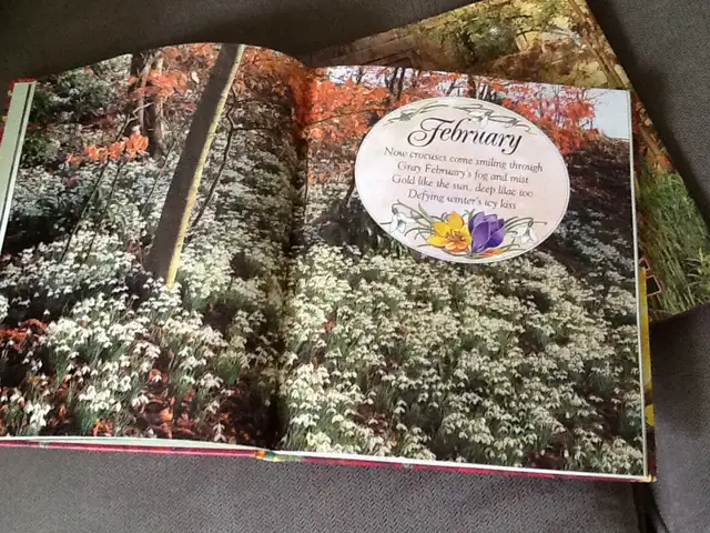 THE GARDENING YEARBOOK and one pair of gardening gloves - Photo 8