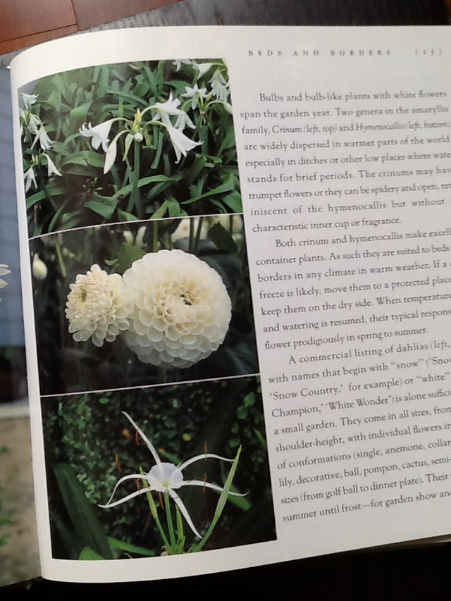 THE COLOR GARDEN  - WHITE – Hardcover and one FREE - Photo 2