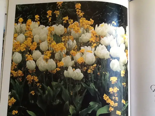 THE COLOR GARDEN  - WHITE – Hardcover and one FREE - Photo 4