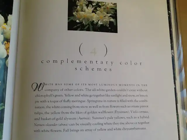 THE COLOR GARDEN  - WHITE – Hardcover and one FREE - Photo 5