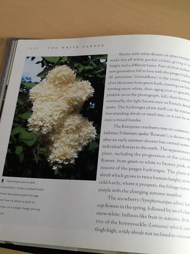 THE COLOR GARDEN  - WHITE – Hardcover and one FREE - Photo 7