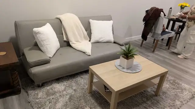 Evanston Townhouse - Photo 7