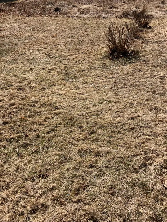 Land for sale - Photo 2