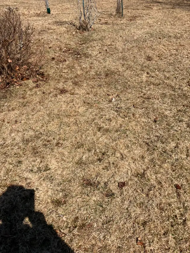 Land for sale - Photo 3