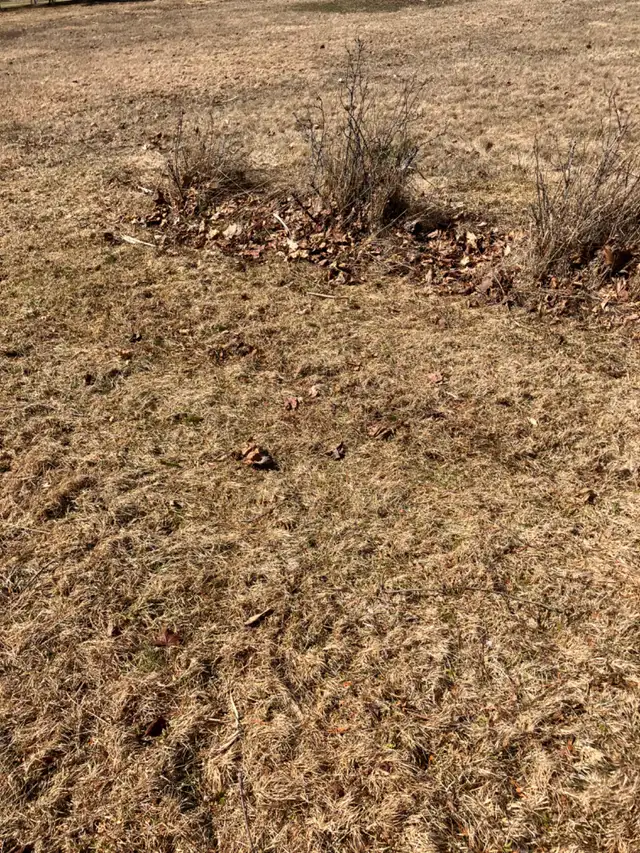 Land for sale - Photo 5