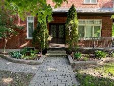 Markham Basement For Rent