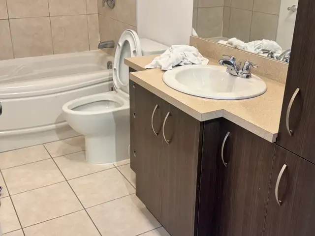 BEAU 2½ À LOUER — L'ÉPIPHANIE - Photo 2