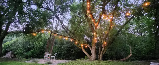 Petite maison à louer - Photo 9