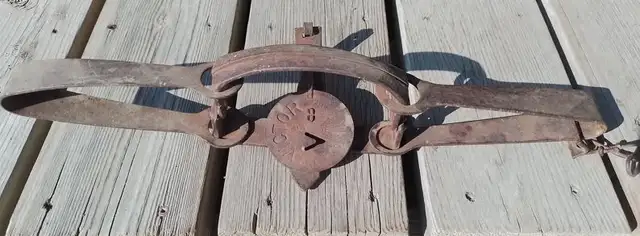 Vintage Victor Long Spring Coyote Traps.  Eight traps in total,