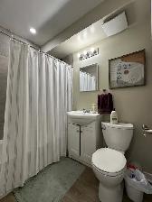TWO BEDROOM APARTMENT WITH PARKING CLOSE TO DOWNTOWN OTTAWA - Photo 6