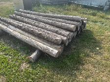 cedar posts and rails - Photo 2