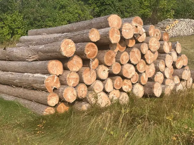 cedar posts and rails - Photo 3