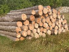 cedar posts and rails - Photo 3