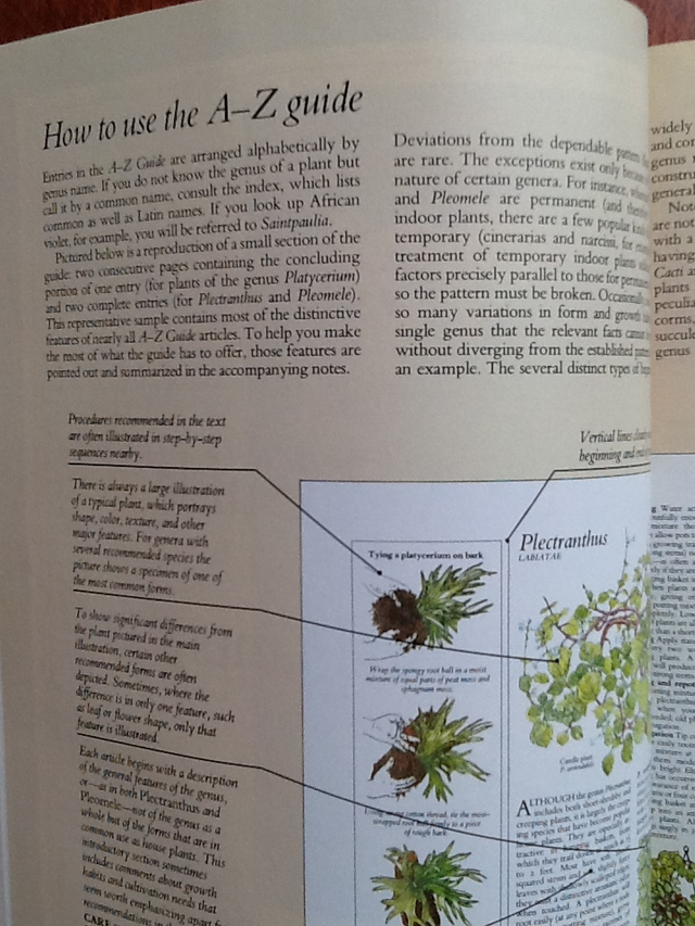 Vintage - Success With House Plants Hardcover  and one FREE - Photo 3