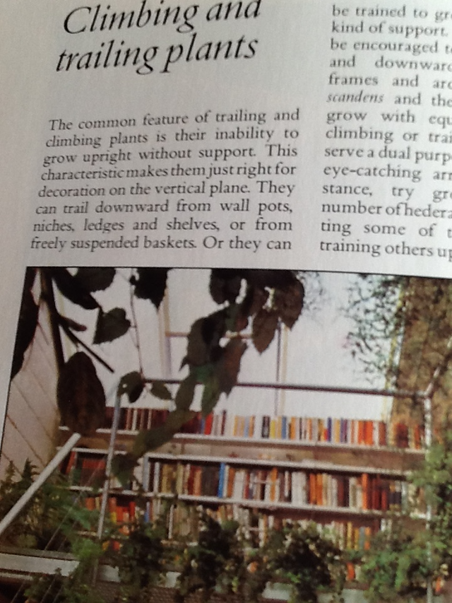 Vintage - Success With House Plants Hardcover  and one FREE - Photo 4