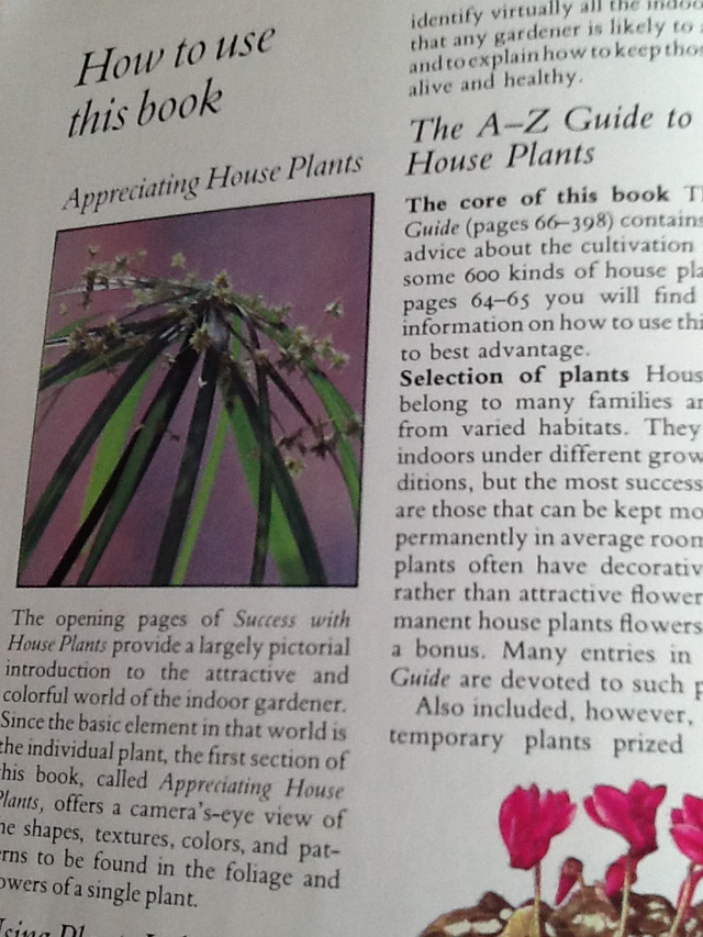 Vintage - Success With House Plants Hardcover  and one FREE - Photo 5