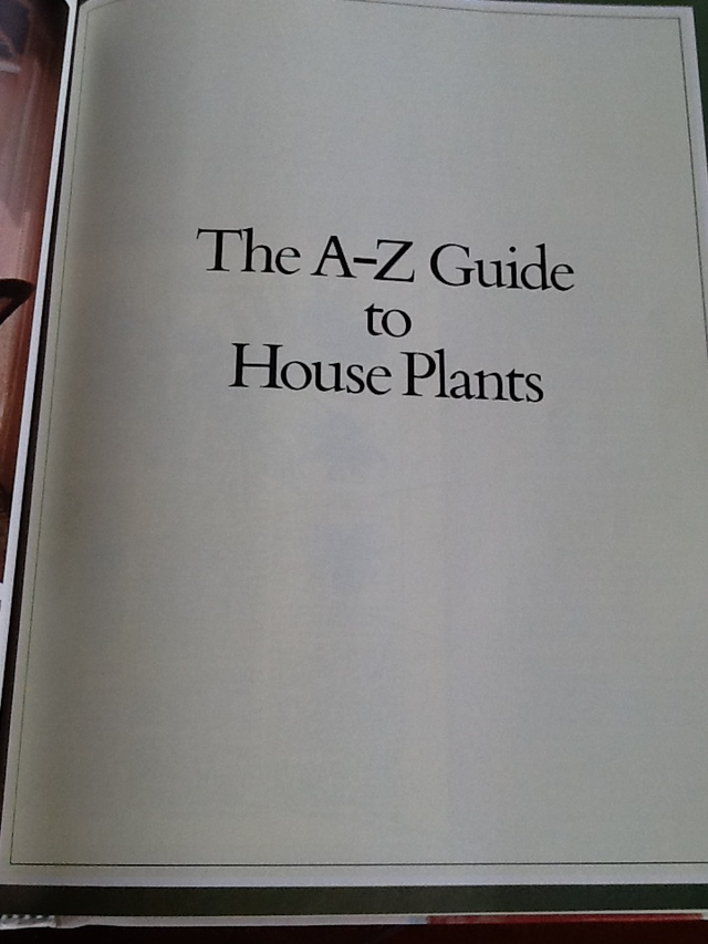 Vintage - Success With House Plants Hardcover  and one FREE - Photo 6