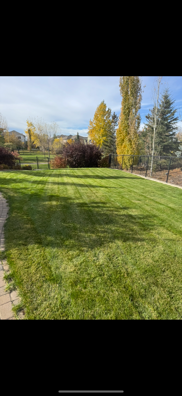 Spring yard clean up and lawn cutting