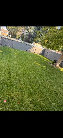 Spring yard clean up and lawn cutting - Photo 2