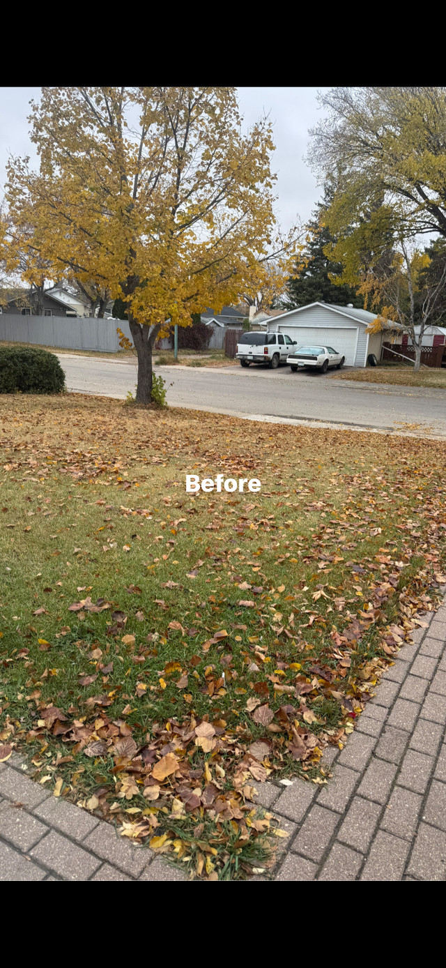 Spring yard clean up and lawn cutting - Photo 3