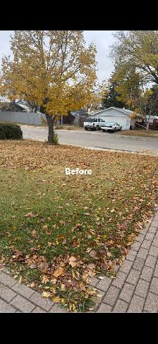 Spring yard clean up and lawn cutting - Photo 3
