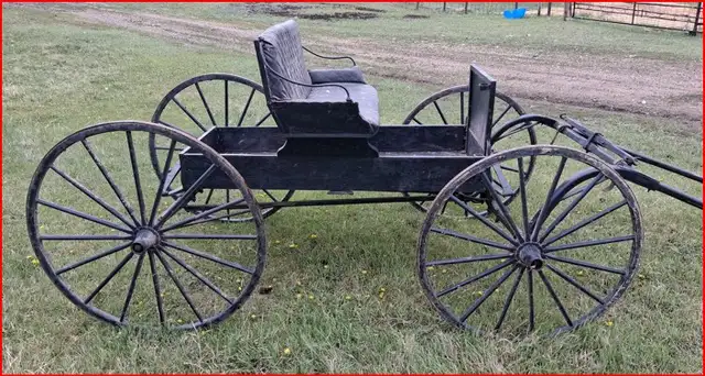 A Single Horse Drawn Buggy.