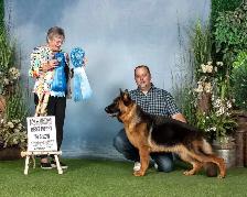 ! GERMAN SHEPHERD MALE PUPPY 12 WEEKS OLD ! - Photo 8