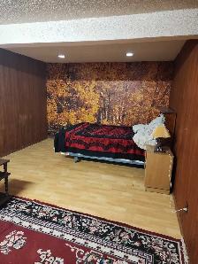 basement suite for rent in temple N.E
