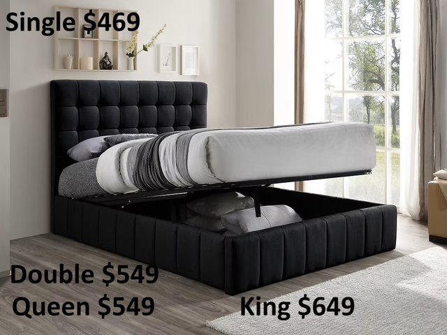 MIKE HAS BRAND NEW HYDRAULIC LIFT BED - Photo 3