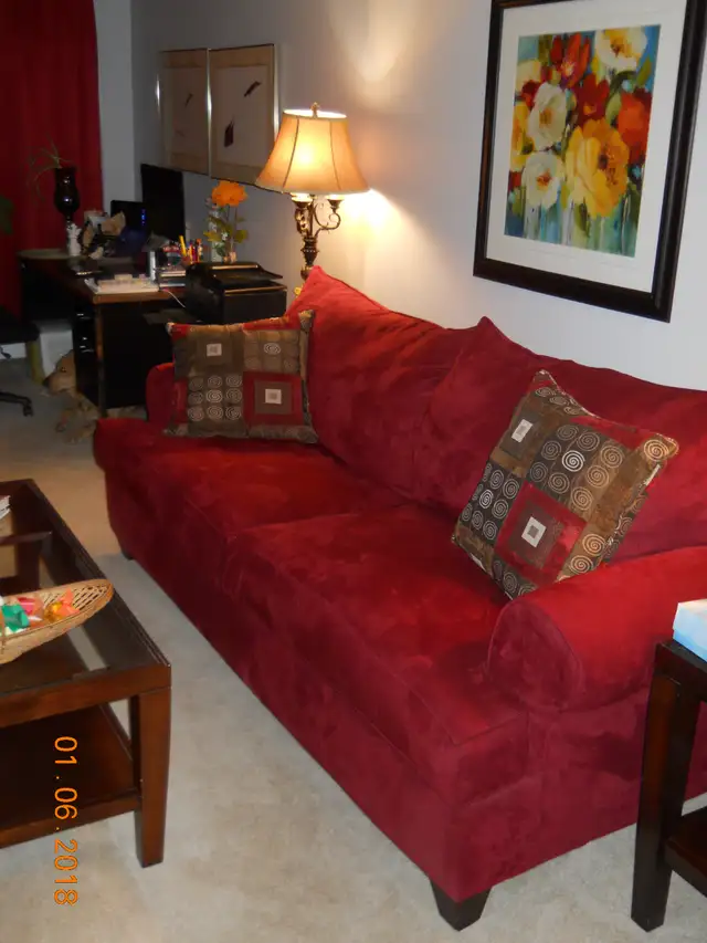 Fabulous Roommate Wanted - Large Room to Rent/Apt to Share! - Photo 3