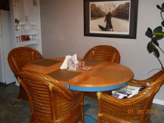 Fabulous Roommate Wanted - Large Room to Rent/Apt to Share! - Photo 4