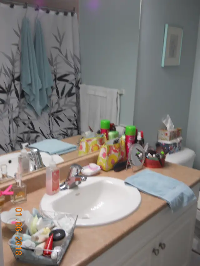 Fabulous Roommate Wanted - Large Room to Rent/Apt to Share! - Photo 6