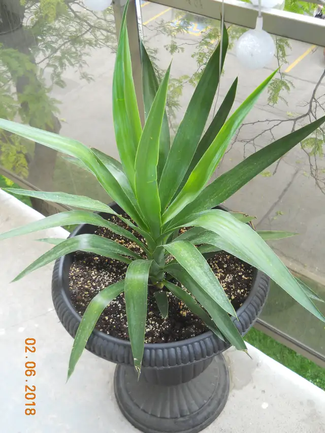 Fabulous Roommate Wanted - Large Room to Rent/Apt to Share! - Photo 8