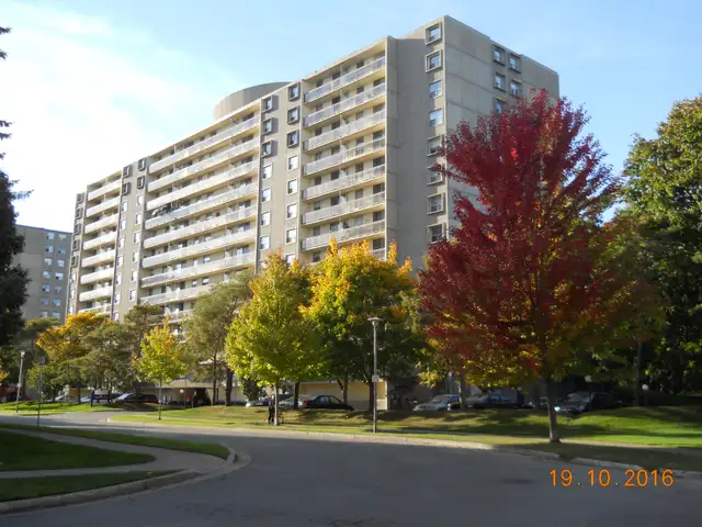 Fabulous Roommate Wanted - Large Room to Rent/Apt to Share! - Photo 9