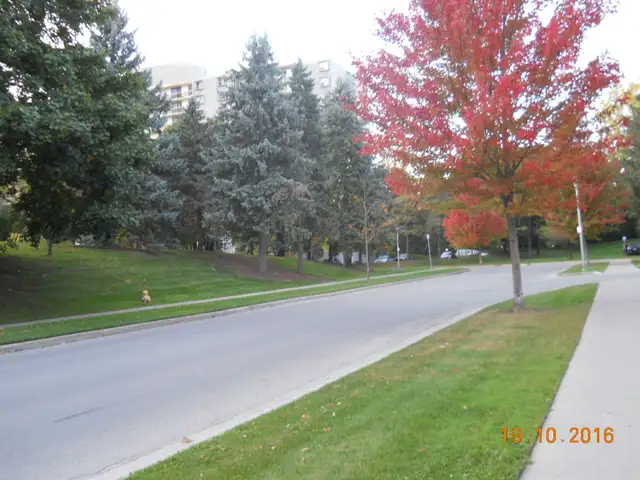 Fabulous Roommate Wanted - Large Room to Rent/Apt to Share! - Photo 10