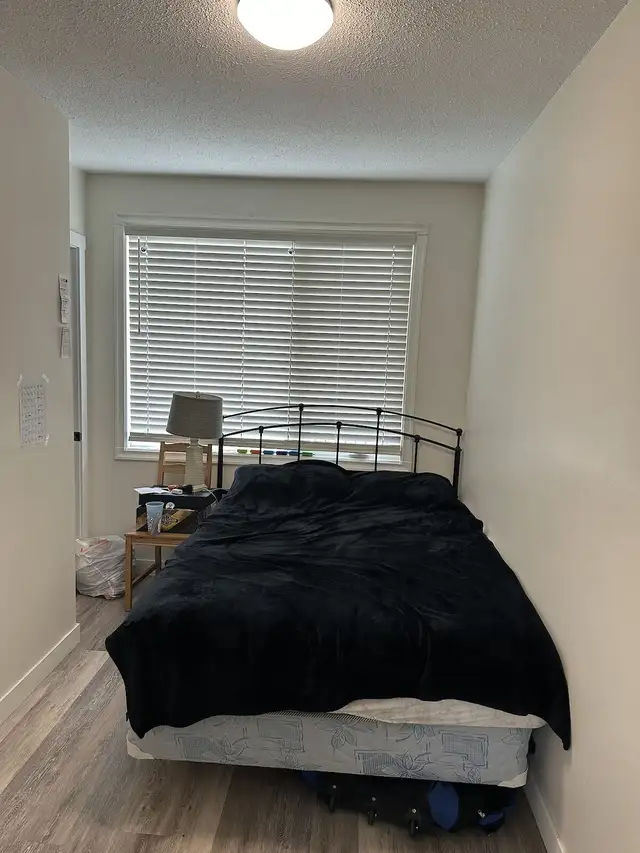 Inner City Extensively Renovated 2 bedroom, 4plex upper Unit. - Photo 7