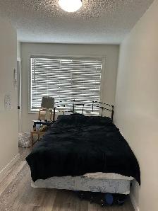 Inner City Extensively Renovated 2 bedroom, 4plex upper Unit. - Photo 7