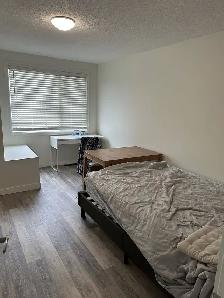 Inner City Extensively Renovated 2 bedroom, 4plex upper Unit. - Photo 8