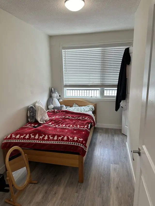 Inner City Extensively Renovated 2 bedroom, 4plex upper Unit. - Photo 9