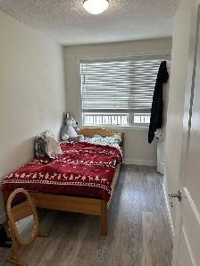 Inner City Extensively Renovated 2 bedroom, 4plex upper Unit. - Photo 9